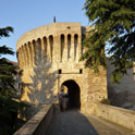 Gallery Image 14